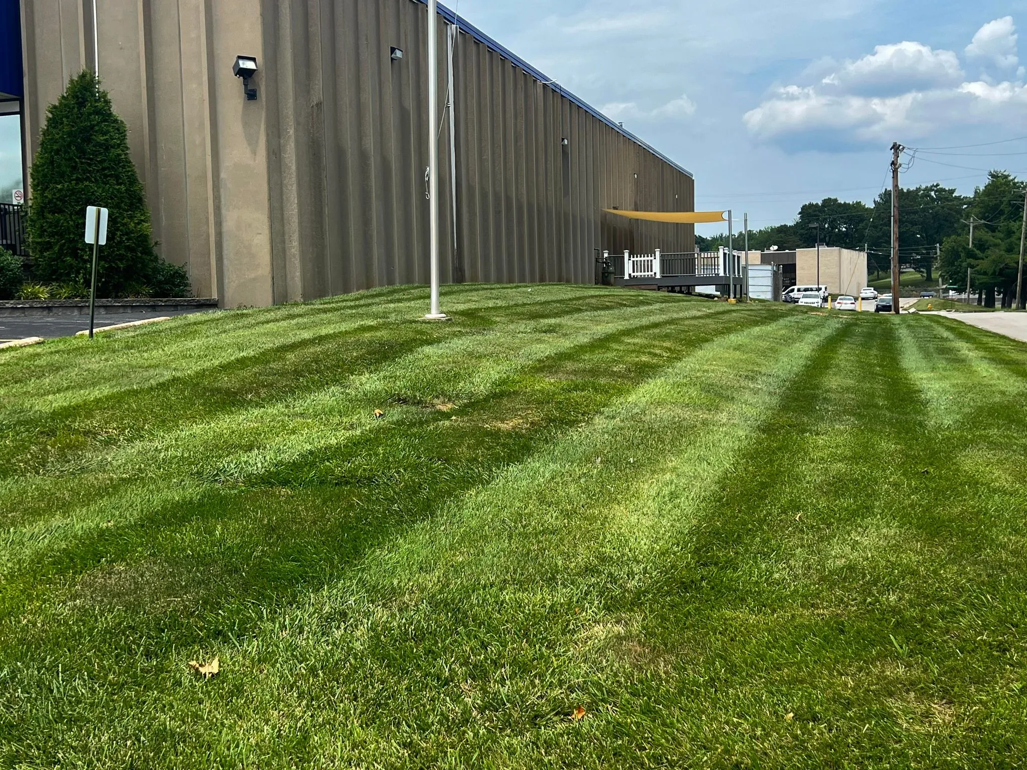 Landscape maintenance and lawn cleanup