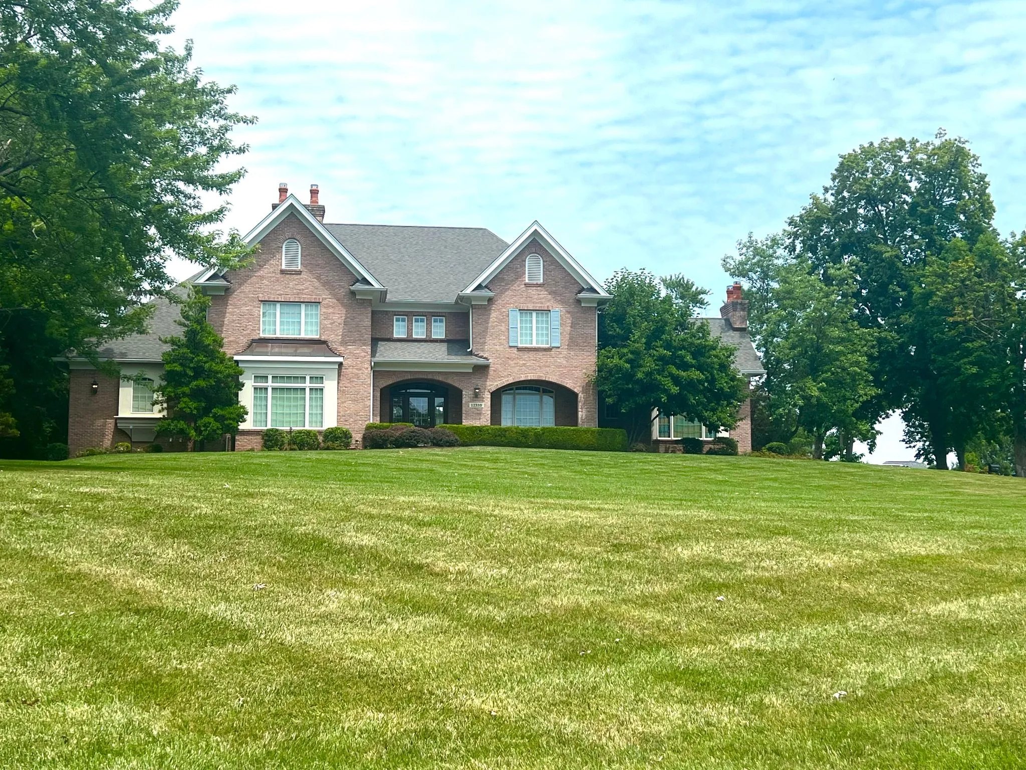 Finished yard maintenance project