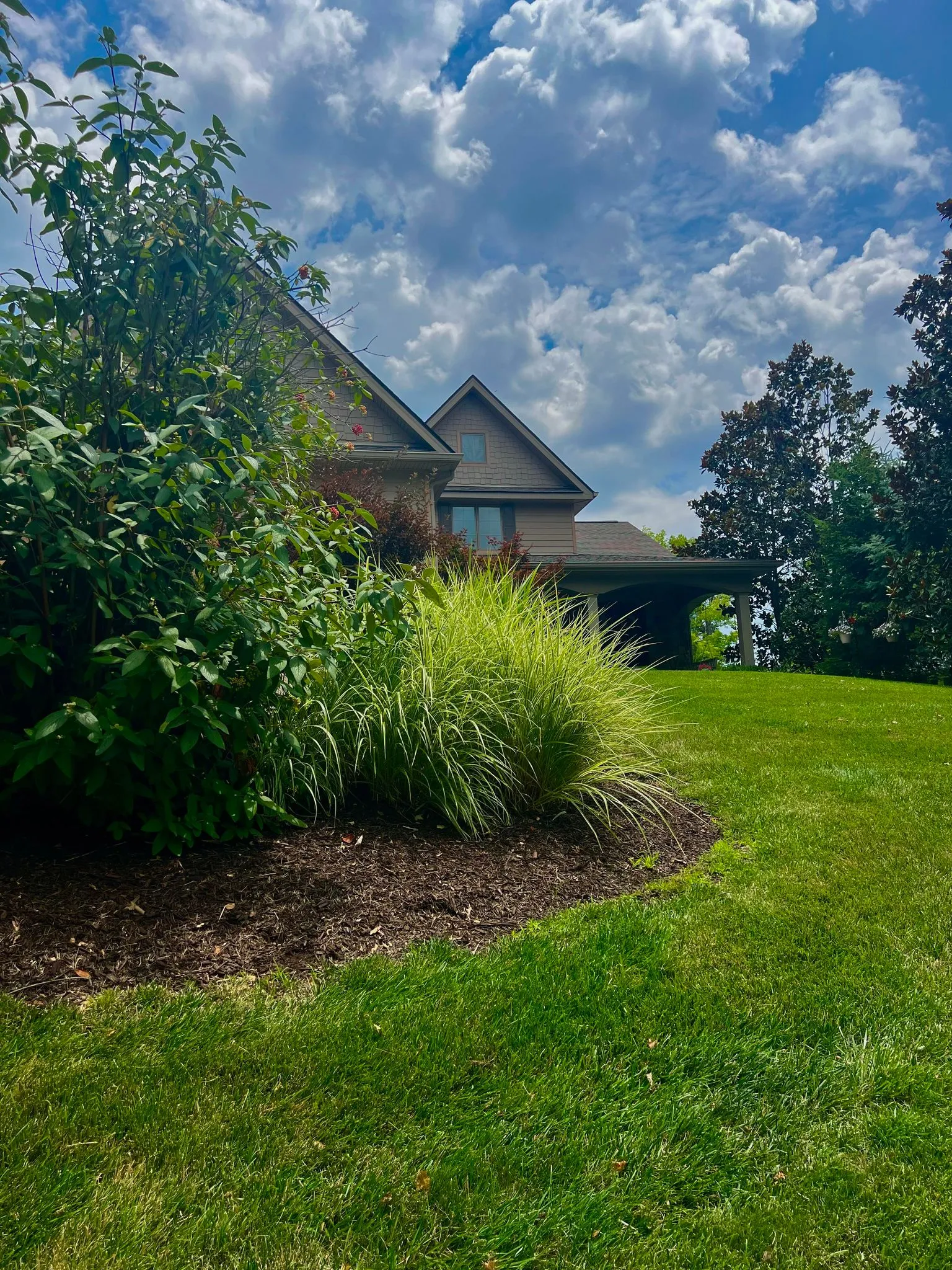 Residential landscape bed maintenance