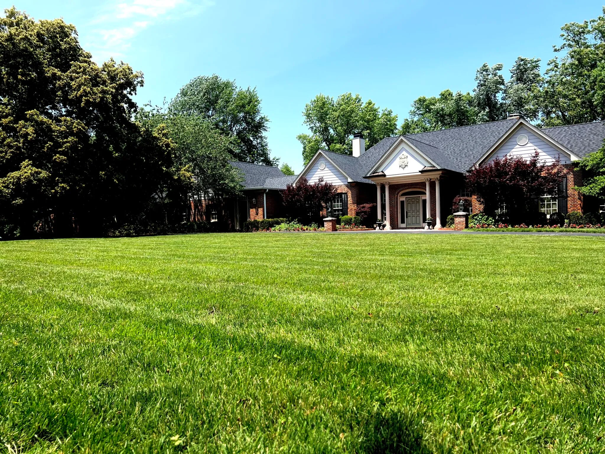 Wide view of maintained turf