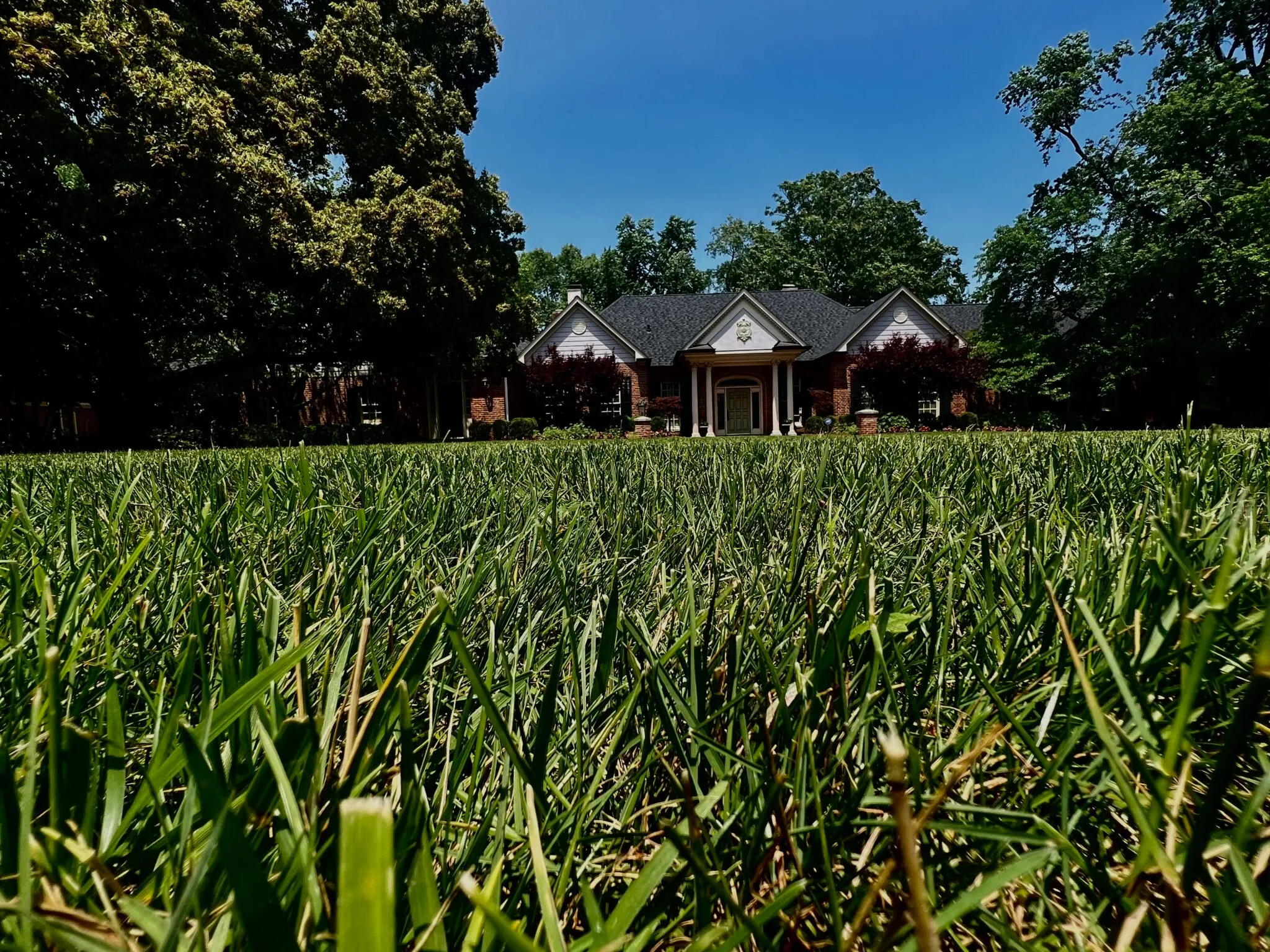 Freshly striped St. Louis lawn after mowing service