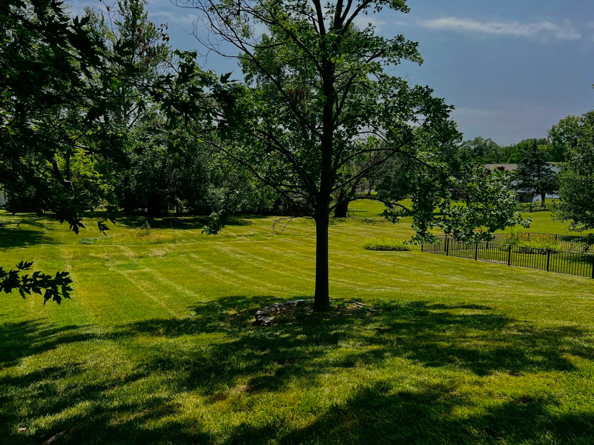 Clean lawn maintenance around a residential property
