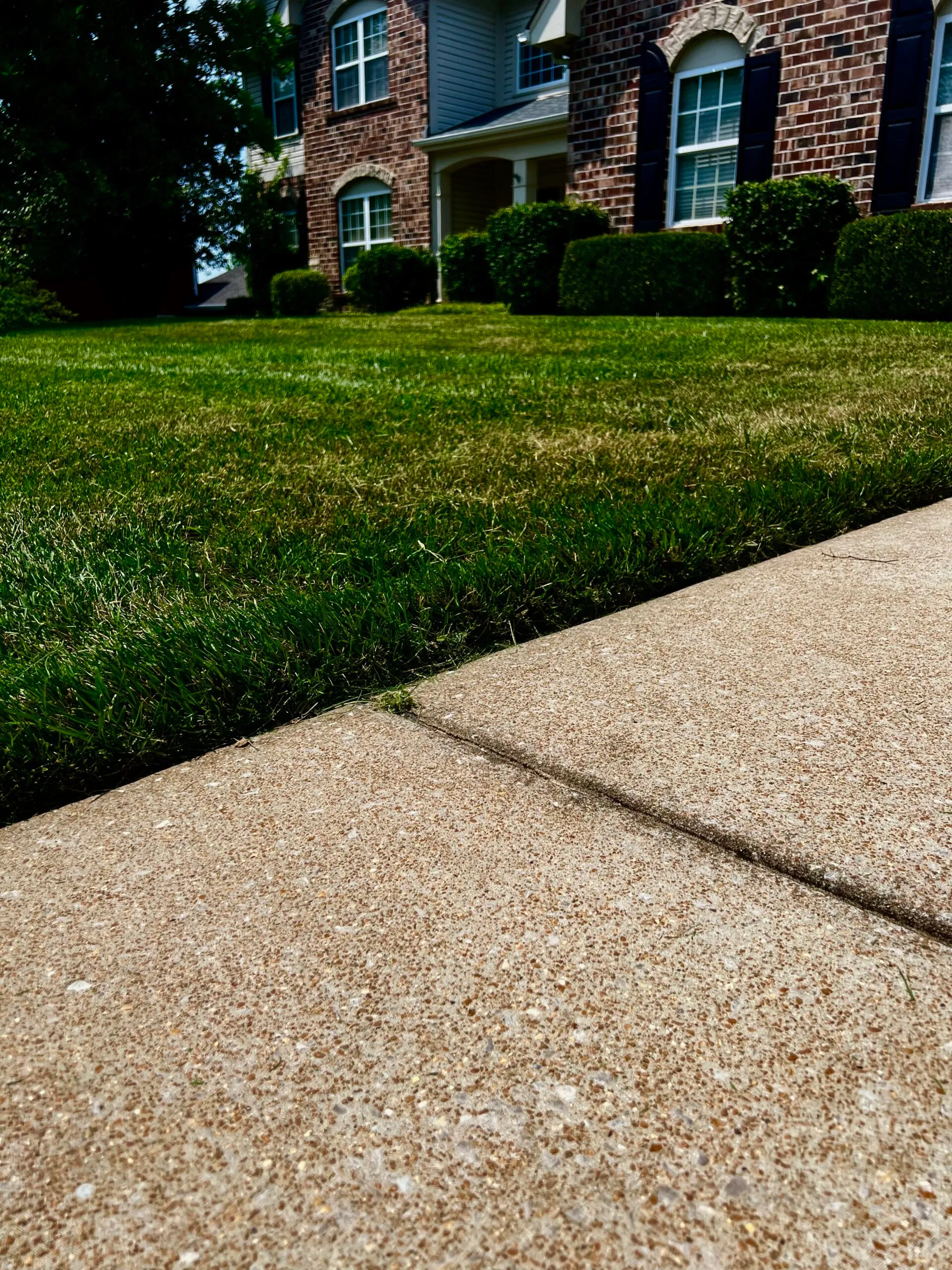 Residential lawn care and landscape maintenance