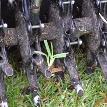 Aeration