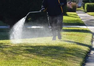 Mosquito and Bug Control