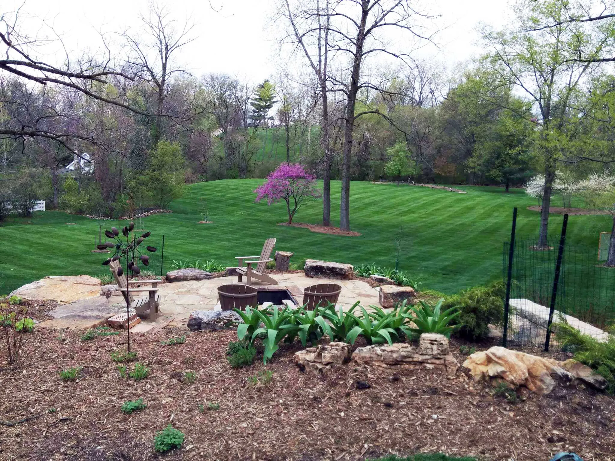Large St. Louis lawn with fresh stripes
