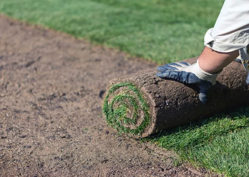 Sod Installation St. Louis